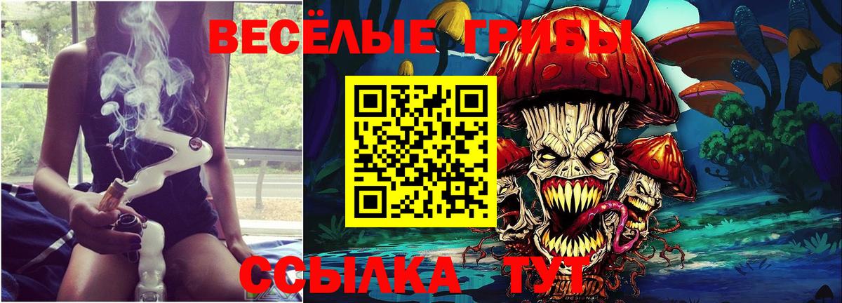 Лянтор  Псилоцибиновые грибы Psilocybine cubensis  Вход с VPN 